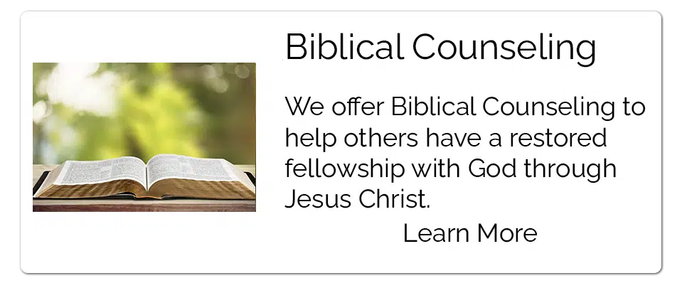 sbc biblical counseling image final
